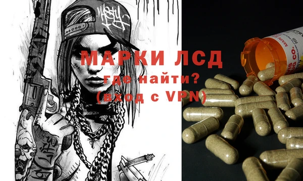 стаф Алексеевка