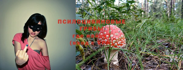 стаф Алексеевка